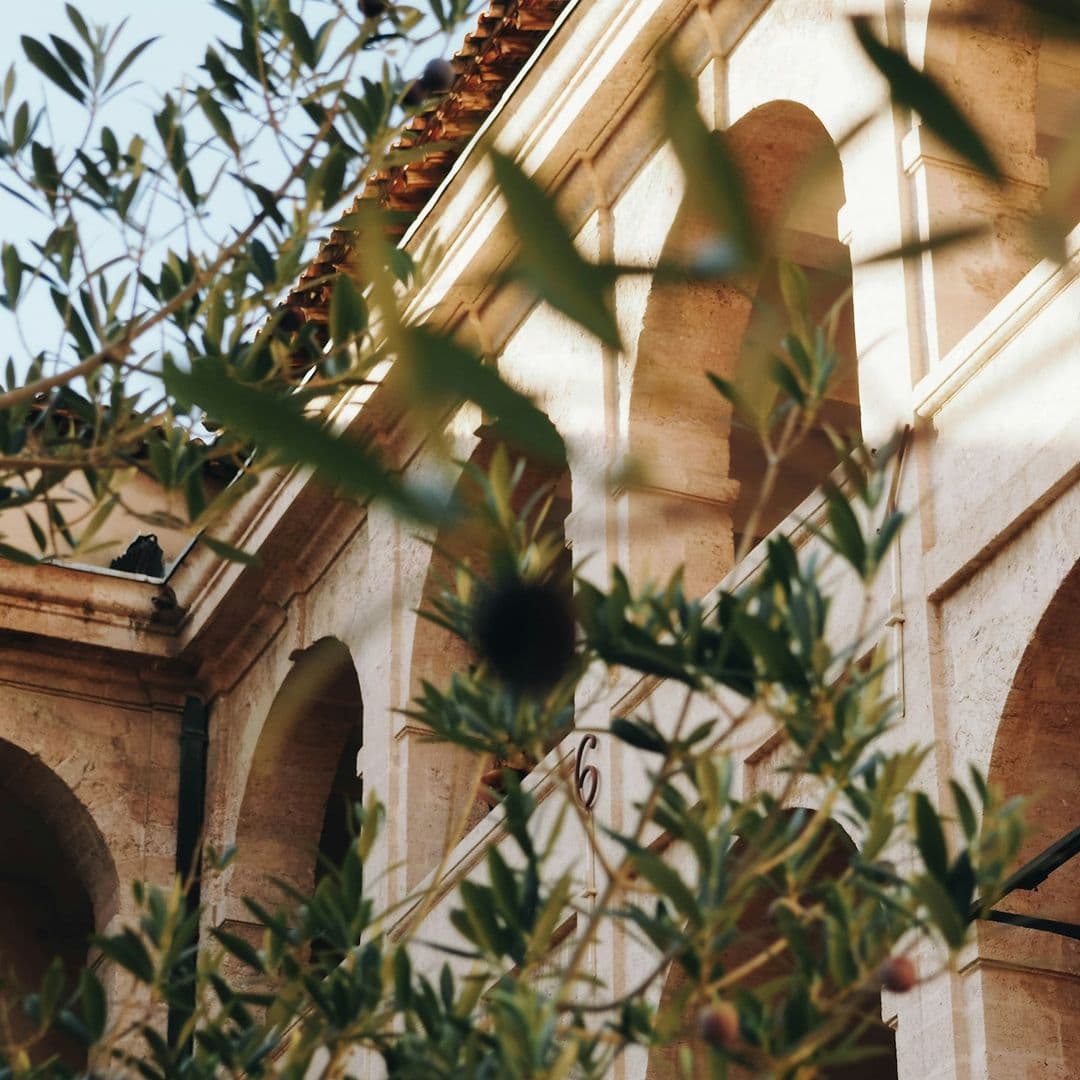 Haus im Hintergrund davor Olivenblätter