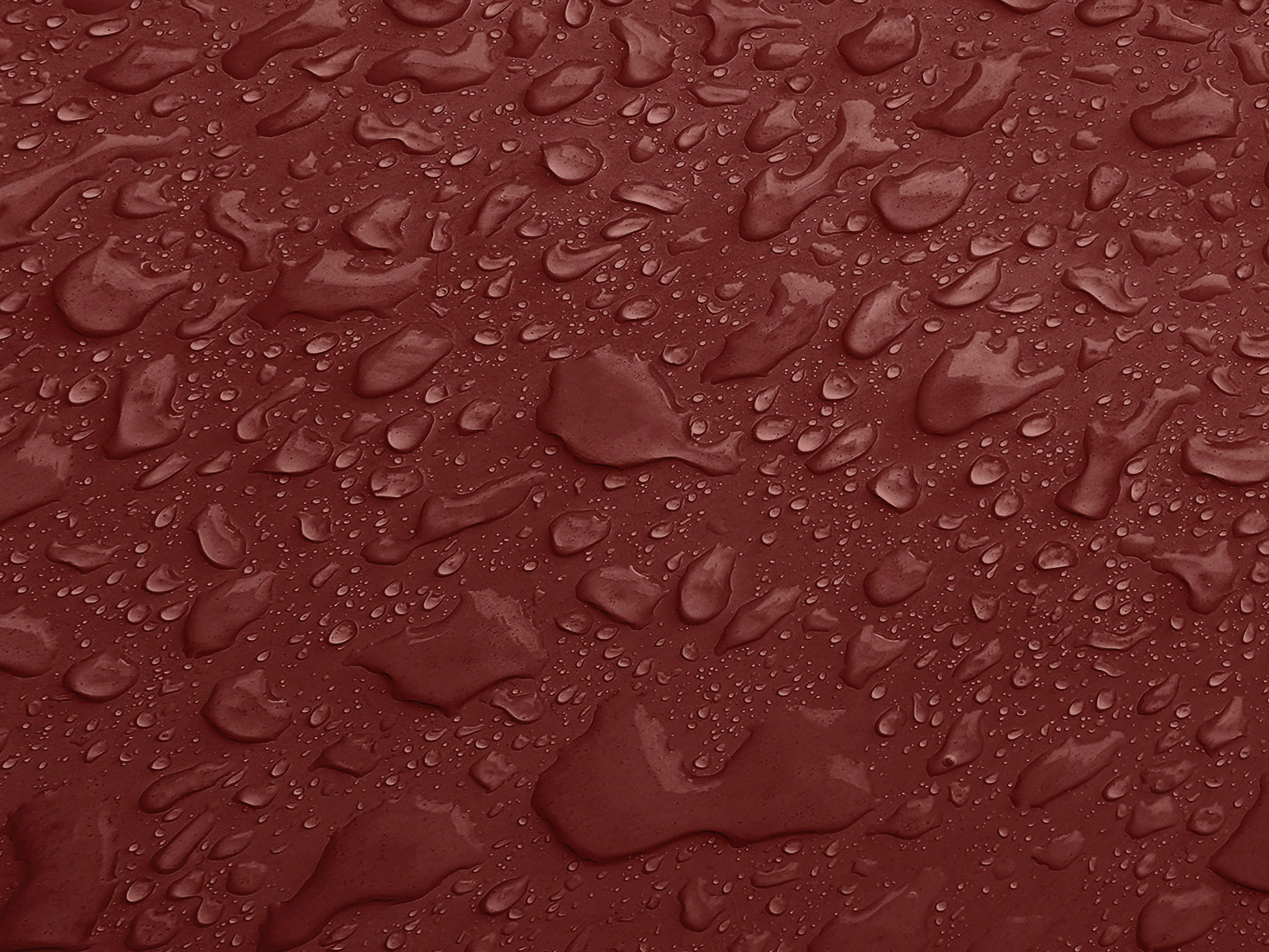 Testbild