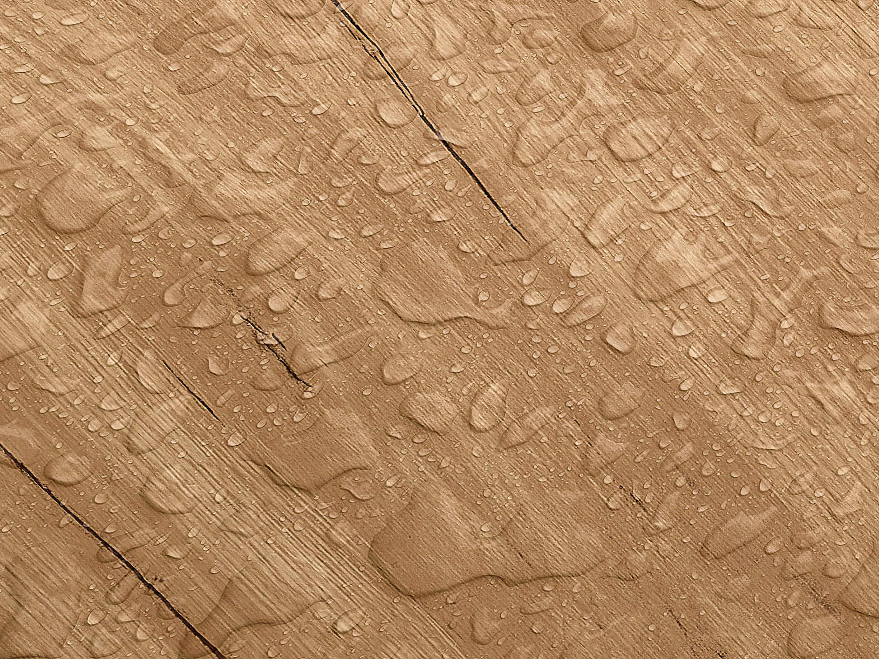 Testbild