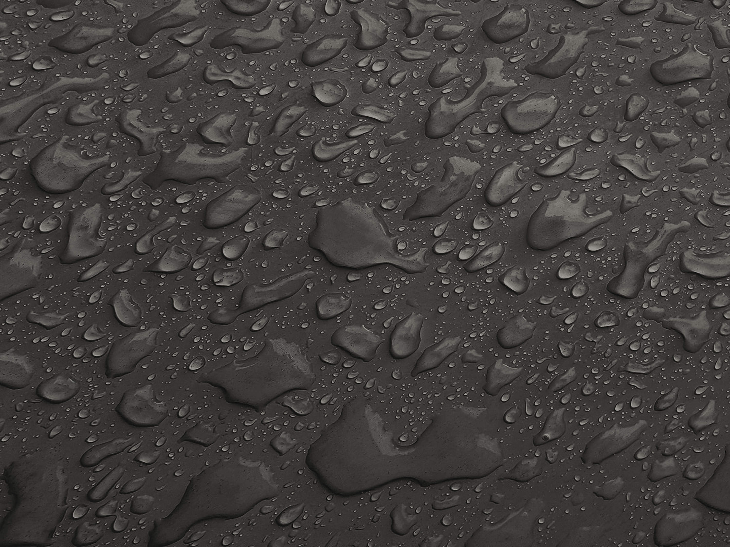 Testbild