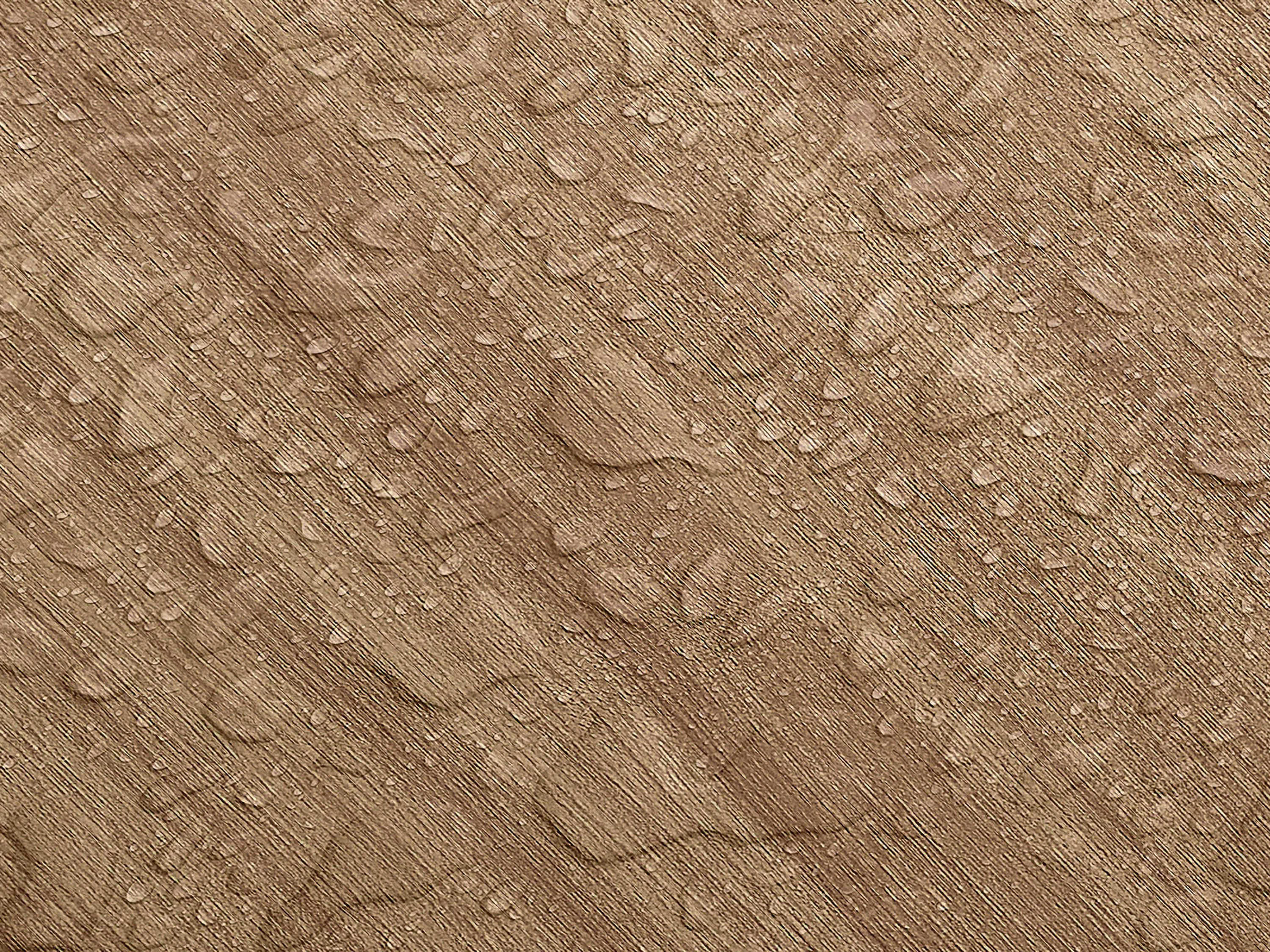 Testbild