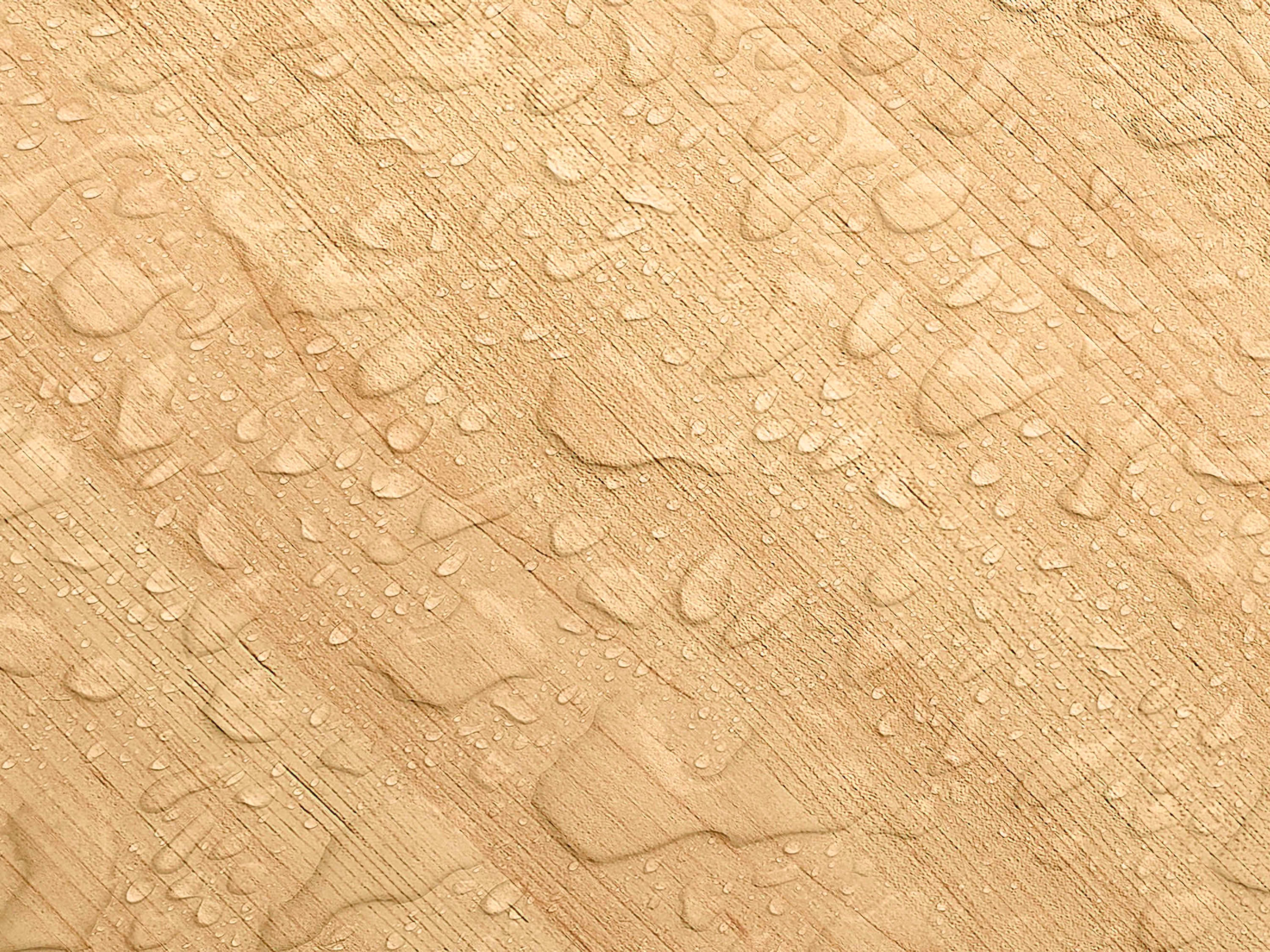 Testbild