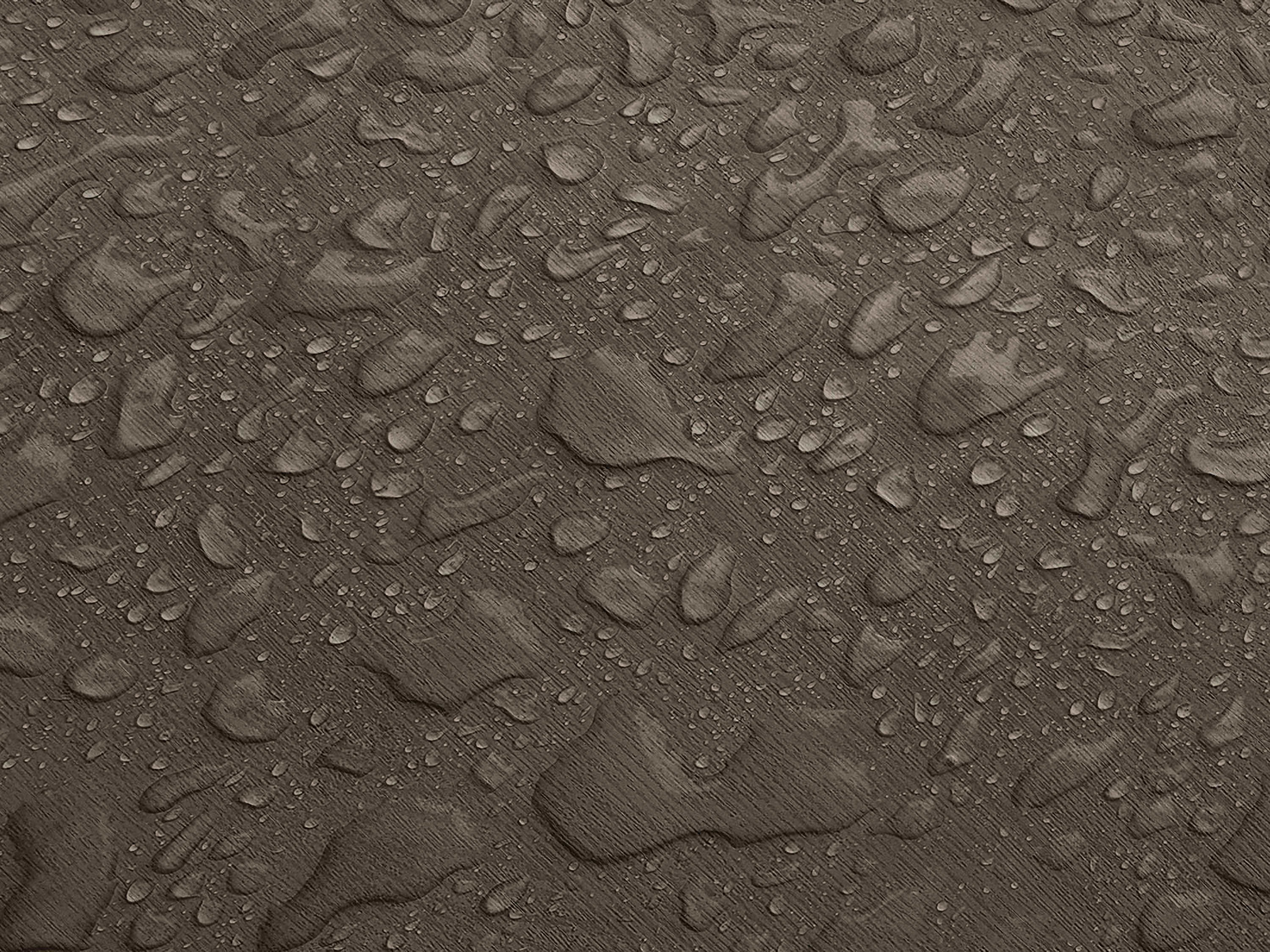 Testbild