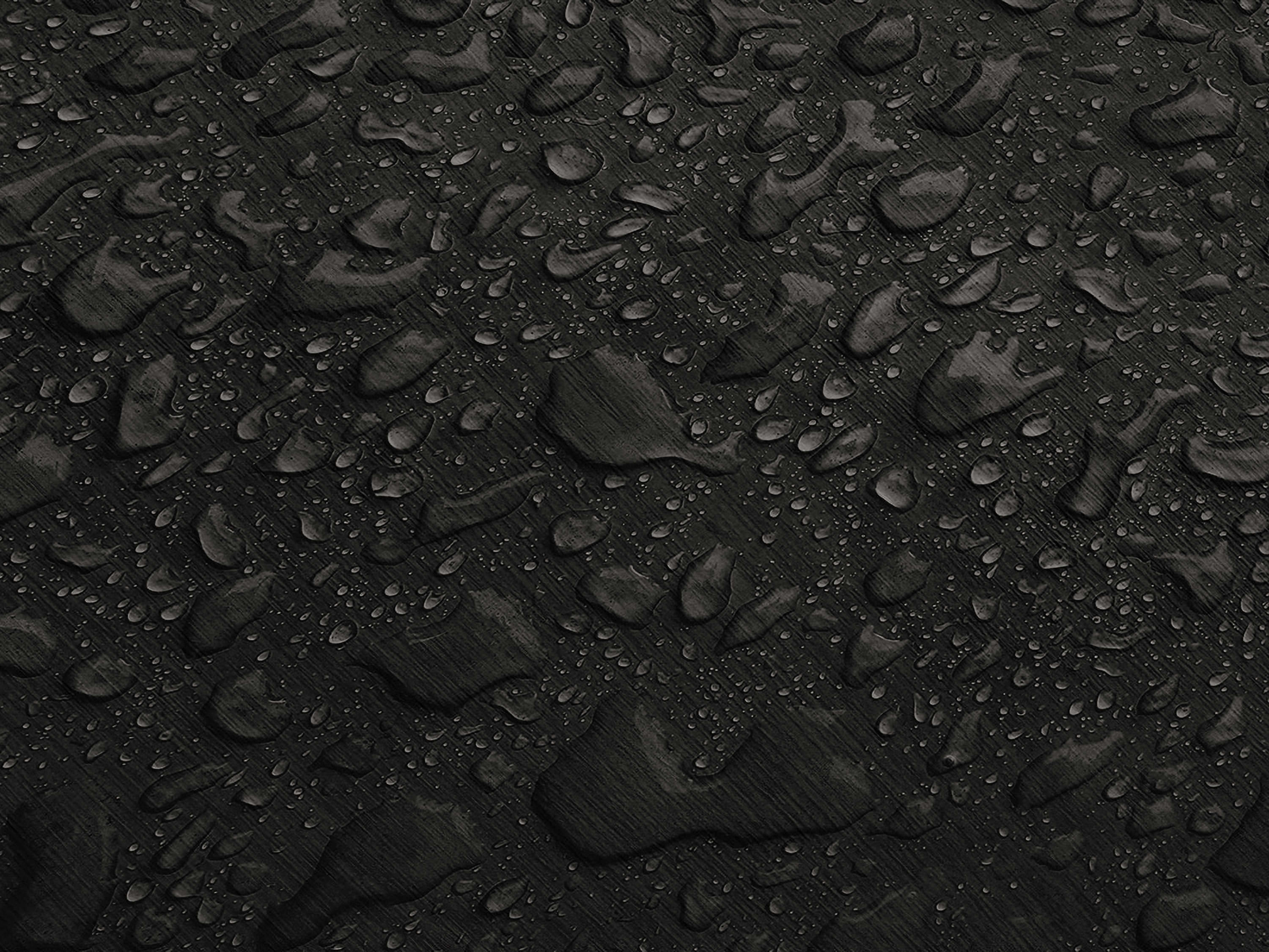 Testbild