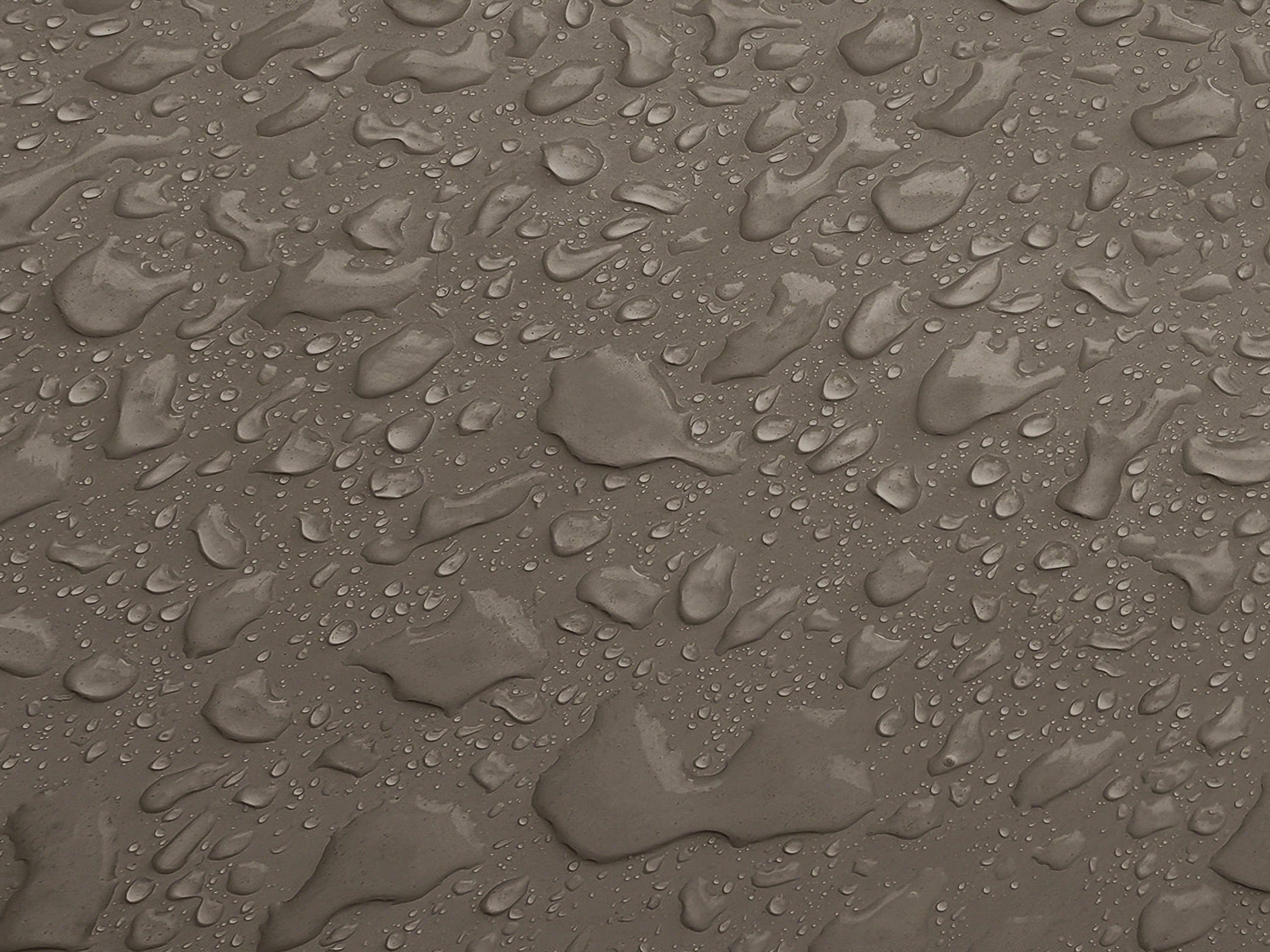 Testbild