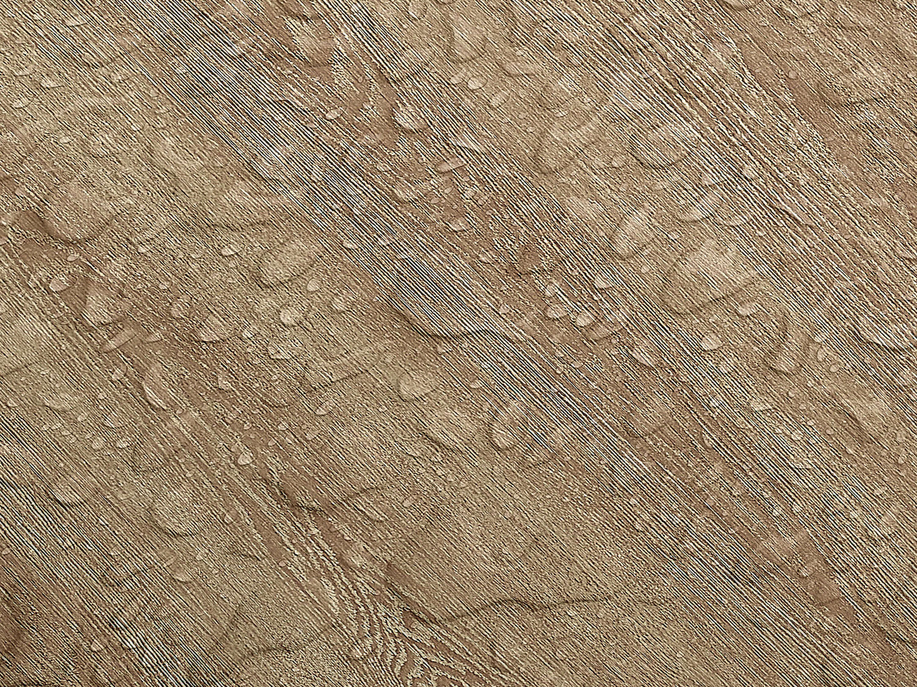 Testbild