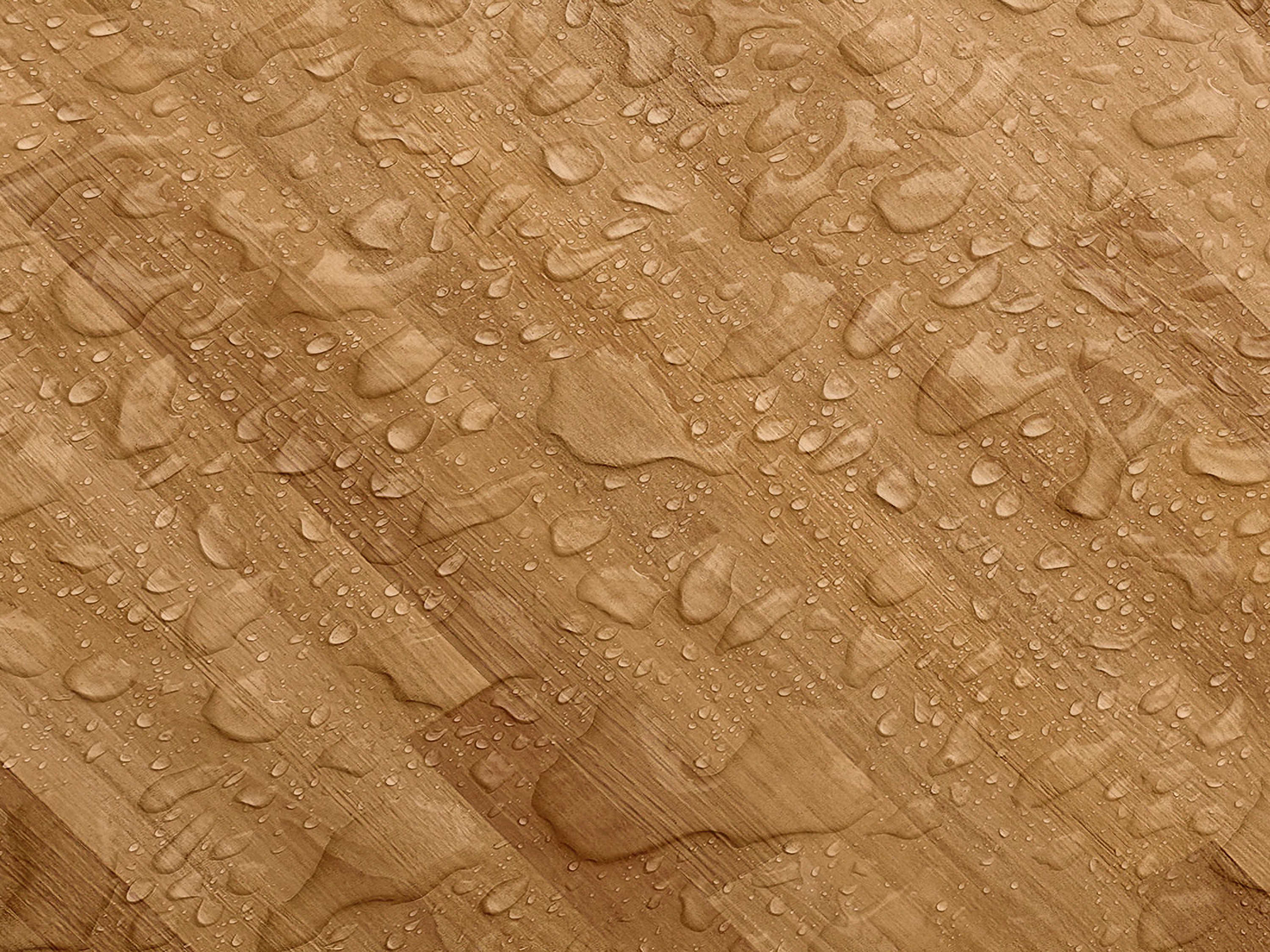 Testbild