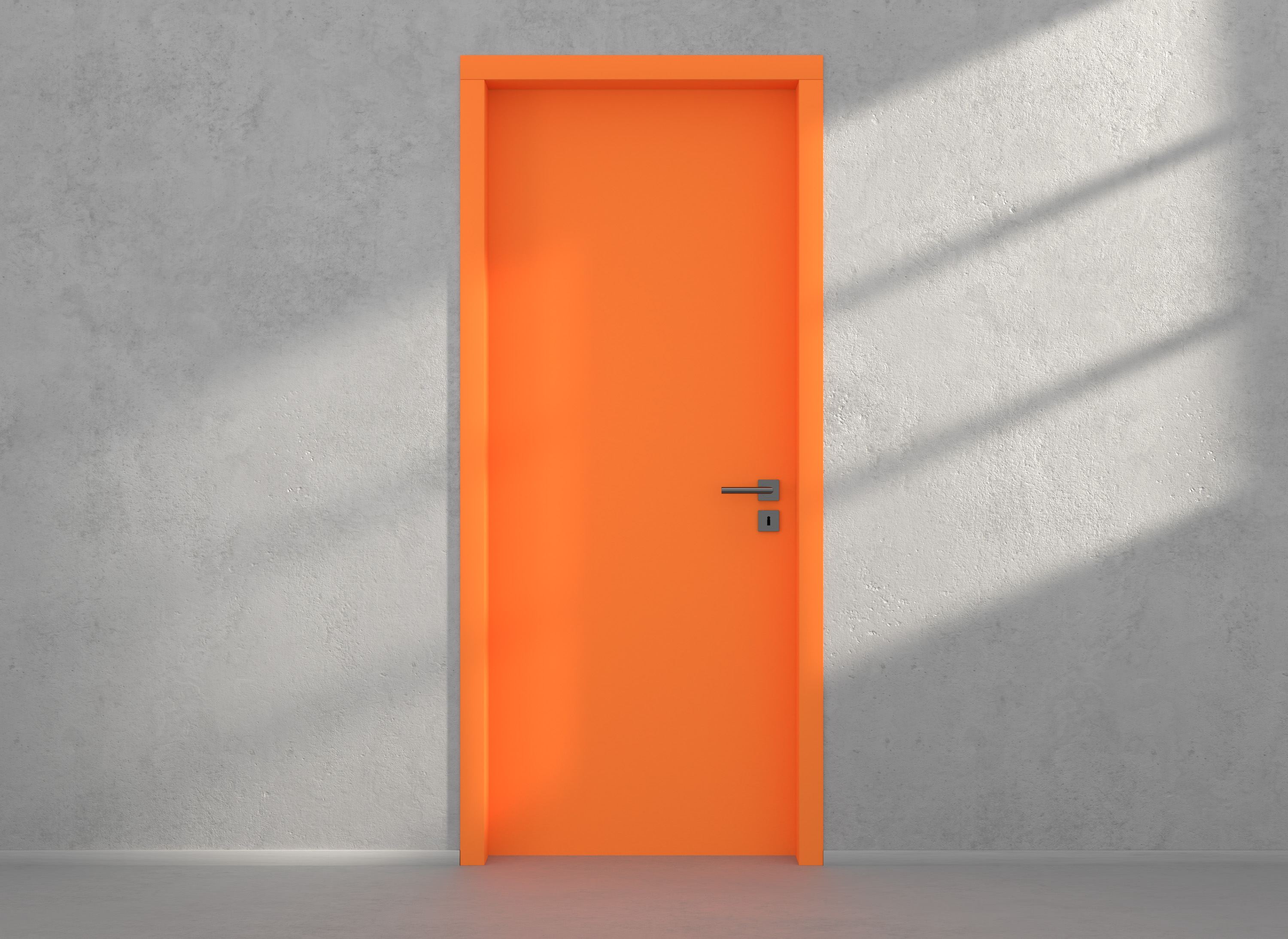 Door with material