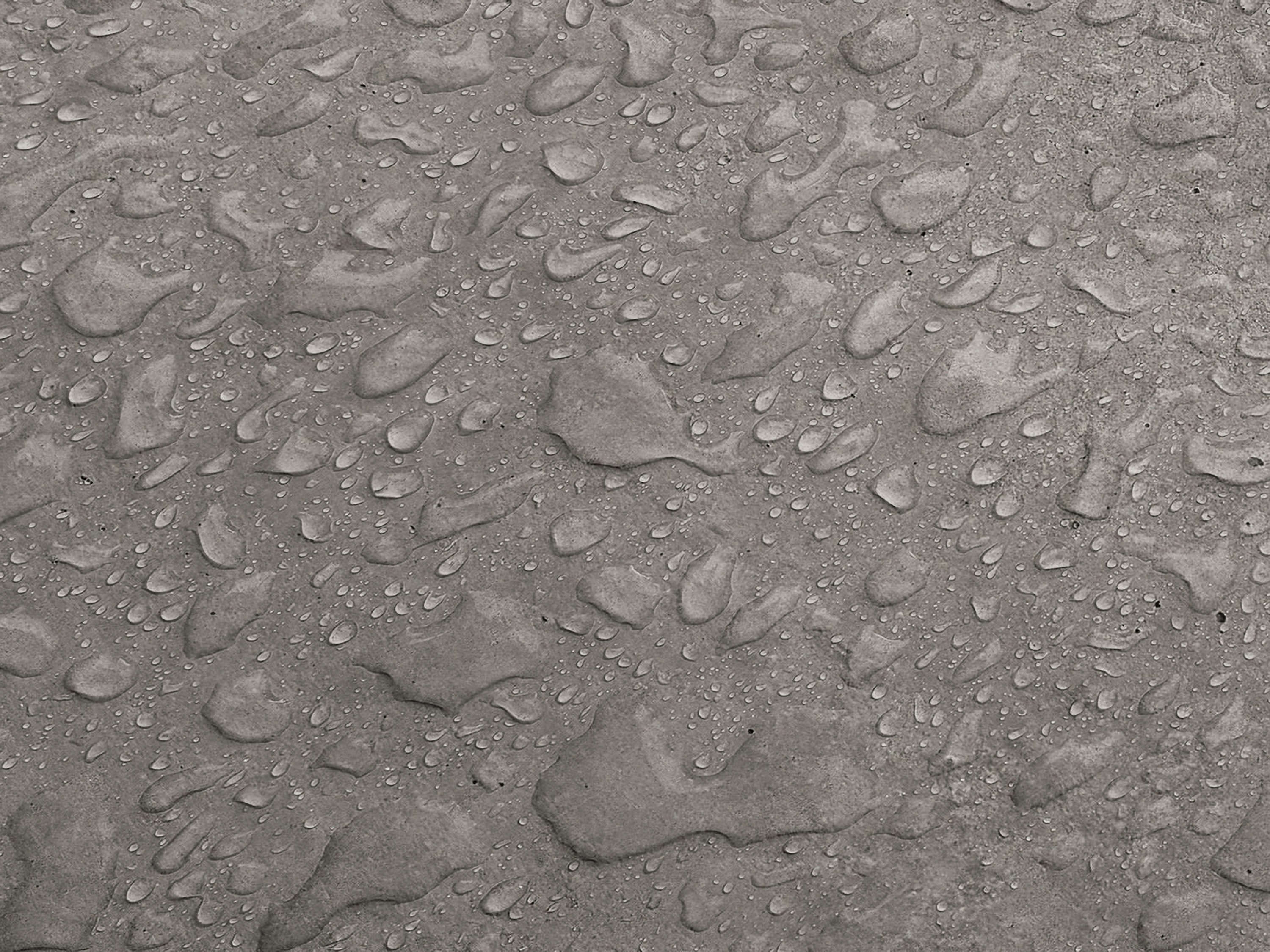 Testbild