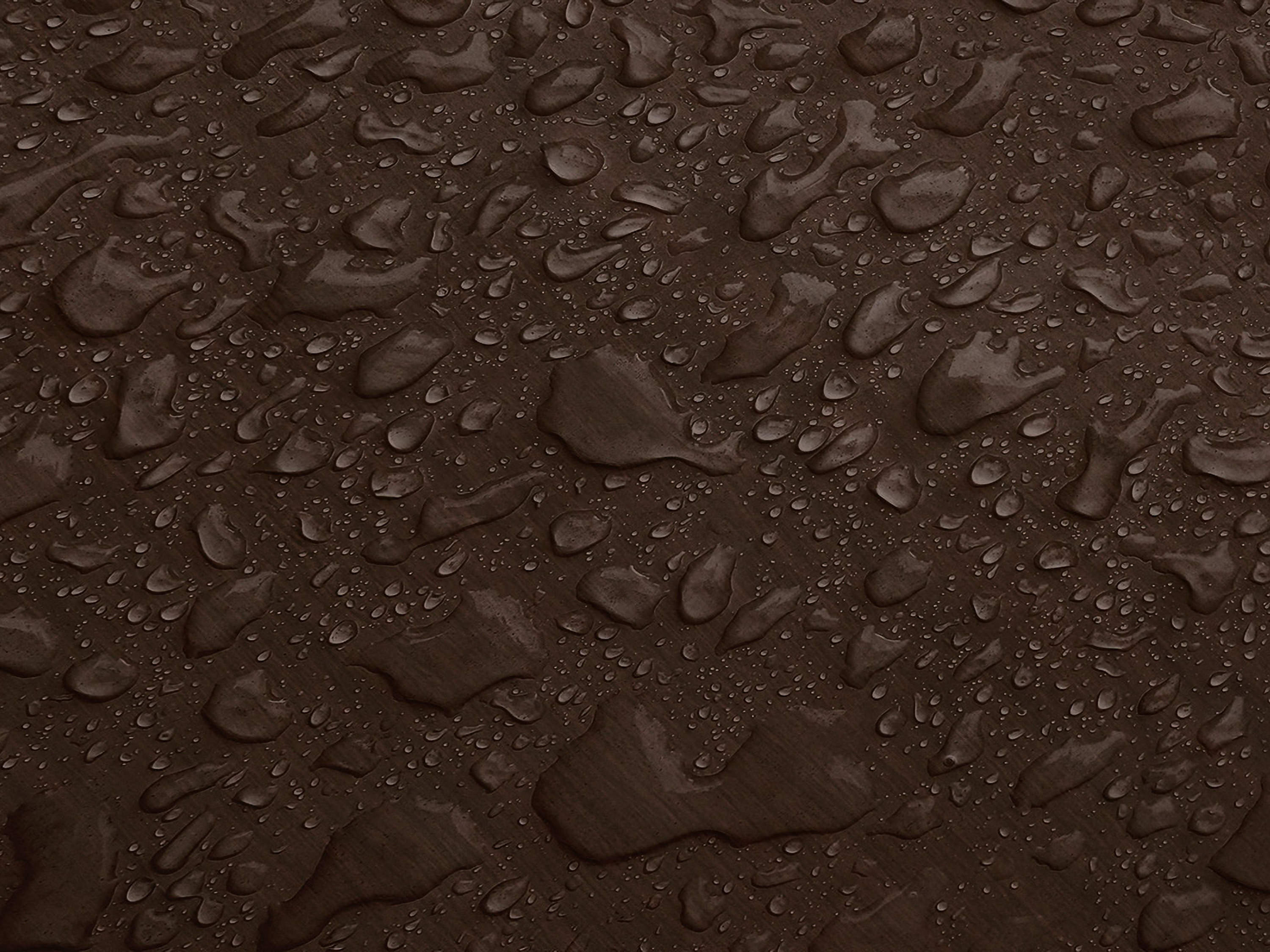 Testbild
