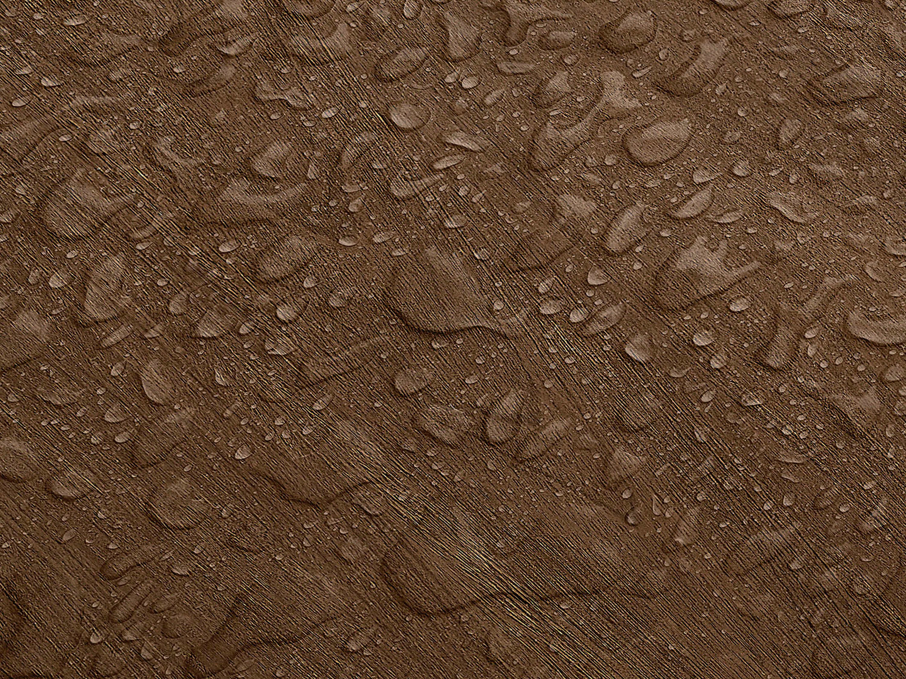 Testbild