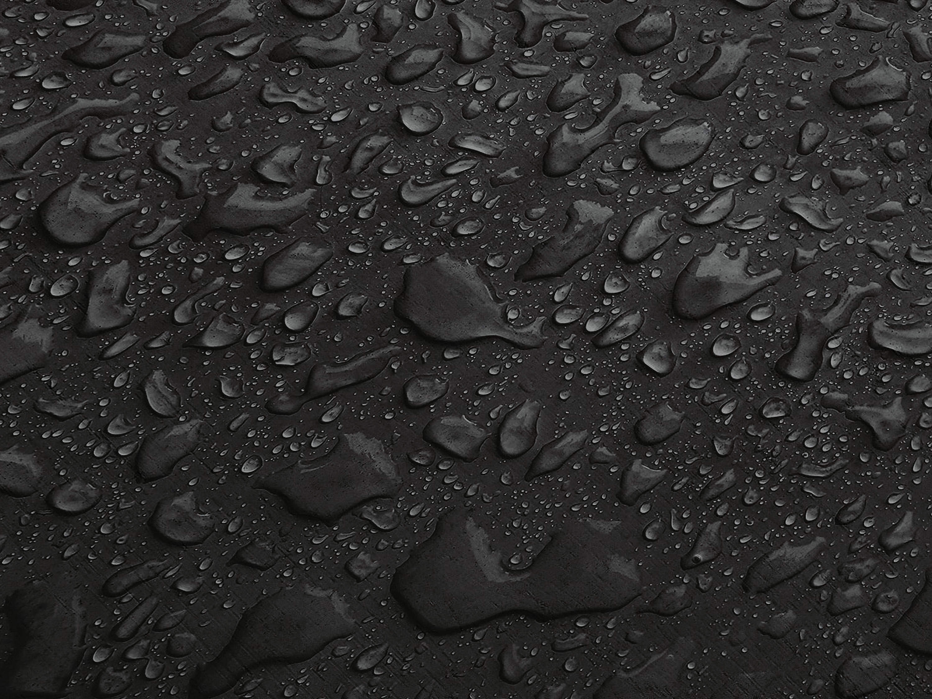 Testbild