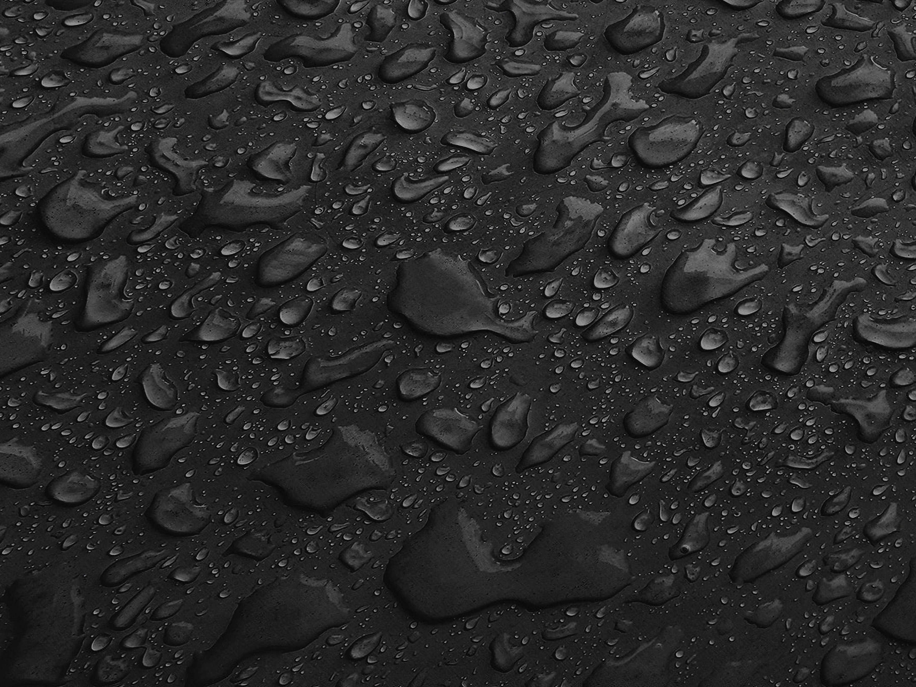Testbild